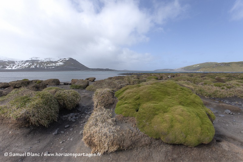 Sur l'île Heard