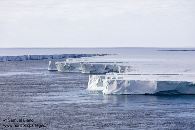 L'ice shelf de Ross